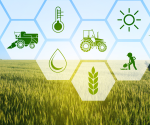Edu Plan Consultants - Agriculture