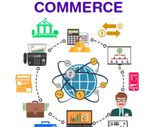 Edu Plan Consultants - Commerce